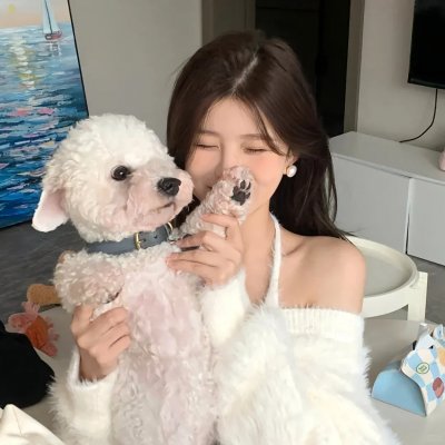 上海惊奇